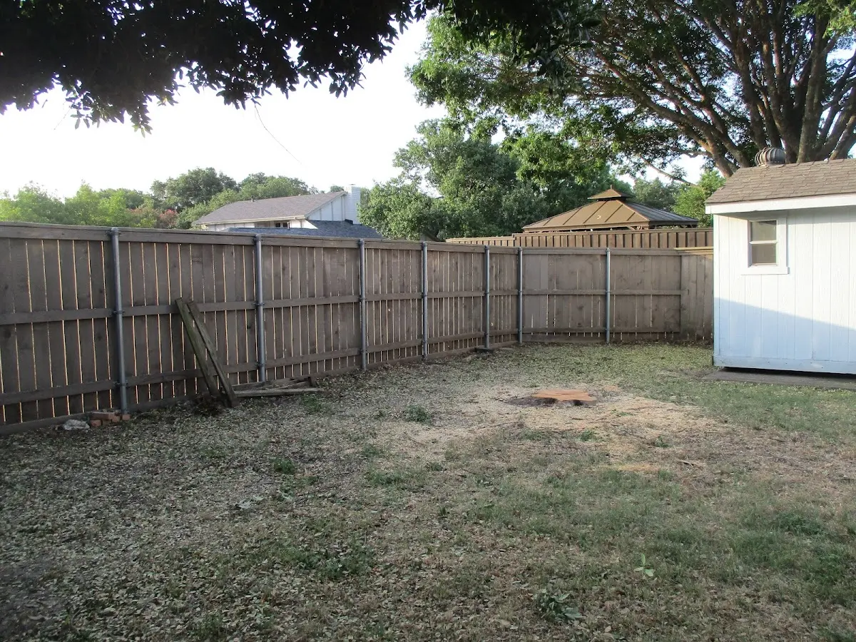 Cleared yard after professional tree removal in Cerro Gordo