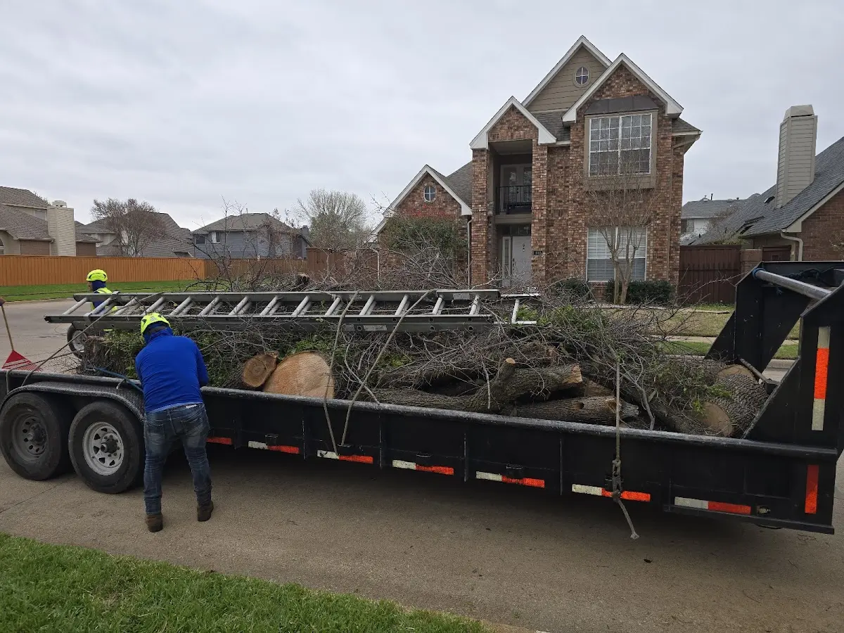 Expert Lot Clearing with proper safety equipment in Cerro Gordo
